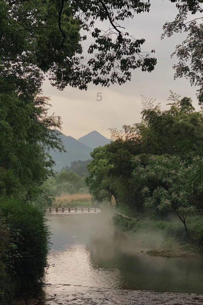 春雨直播app
